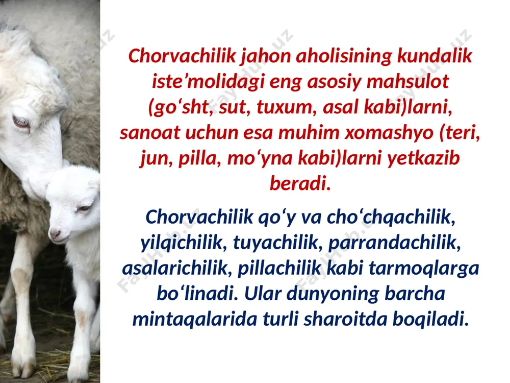 jahon chorvachiligi va baliqchiligi . 9 - sinf - Page 3