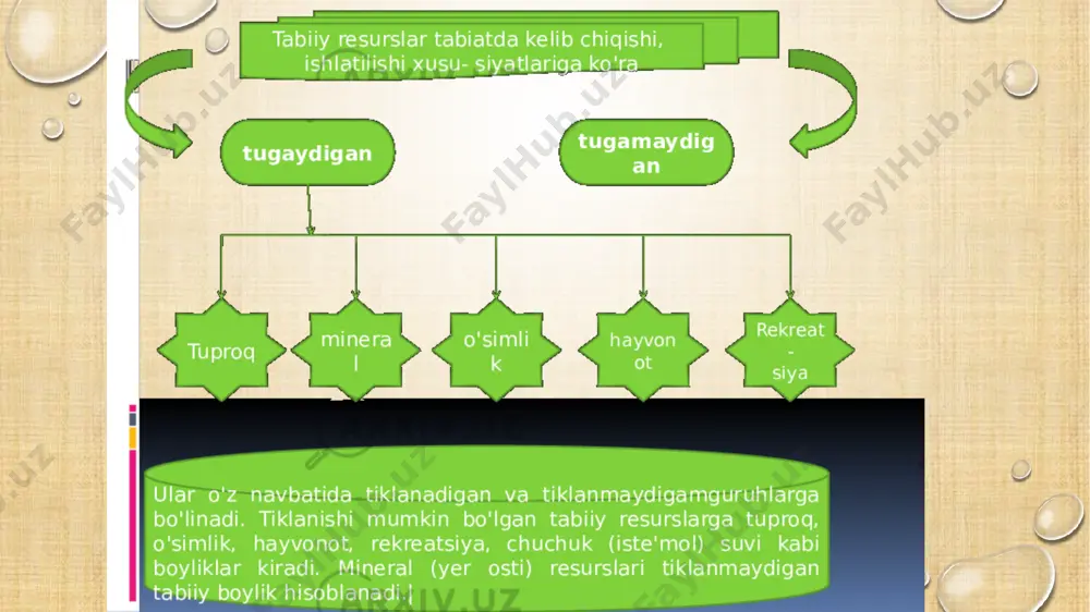 markaziy osiyoning tabiiy sharoiti va tabiiy resurslari - Page 5