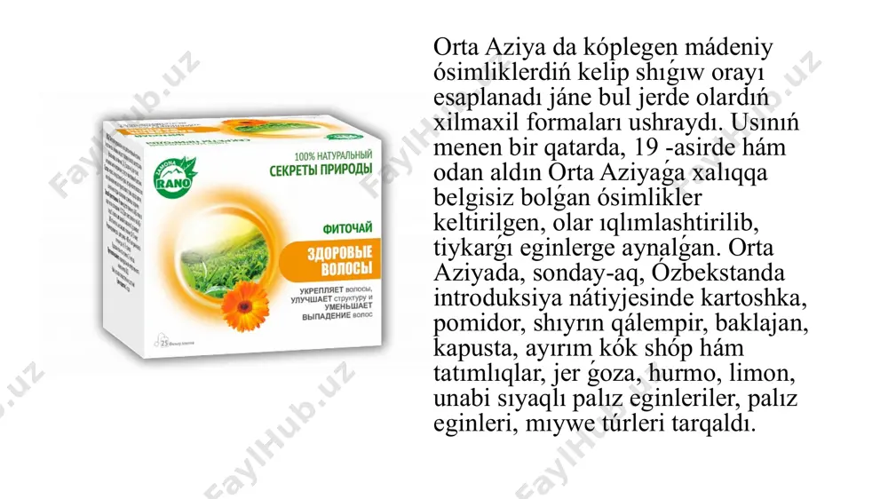 r tirnoqgul calendula officinalis l. - dorivor tirnoqgul. qoqio‘tdoshlar-asteraceae oilasiga mansub, bo‘yi 30-50 (ba’zan 60) sm ga etadigan o‘t o‘simlik. ildizi shoxlangan o‘q ildiz. taǵı bir jurtımızda ósetuǵın dárivor ósimliklerden biri jaq-jag' bolıp tabıladı. jaq-jaq bir jıllıq, boyı 20 -30 smga jetetuǵın ósimlik bolıp, aprel ayınan baslap kuzgacha gúlleydi, mıywesi iyunnan baslap yetiladi. ximiyalıq tárepten quramında gissopin glikozidi, burso kislotası, 0, 12% askorbin kislota, vitamin k1, alma, limon, vino, fumar kislotalar, xolin, atsetilxolin, tiramin, inozit, flavonoidlar (diosmin hám basqalar ), saponinlar, 28 % may, oshlovchi hám de taǵı basqa birikpeler boladı. jag-jag o'simligi áyyemginen xalıq shıpakerlik kásibiinde túrli keselliklerdi emlewde keń kólemde isletilip kelińan. ibn sino jag-jagdan tiykarlanıp qan toqtatıwshı qural shifatida (jatır, meda, ókpe, búyrek, murınnan hám jaralardan qan aqqanda, bavosil keselliginde) paydalanǵan. turkum. salidago l.-salidago tur. salidago sadensis l. -kanada salidagosi salidago sadensis l.–kanada salidagosi ko‘p yillik o‘t o‘simlik. bo‘yi 180 sm. poyasi tepa qismidan shoxlangan. ildiz bo‘g‘zidagi …