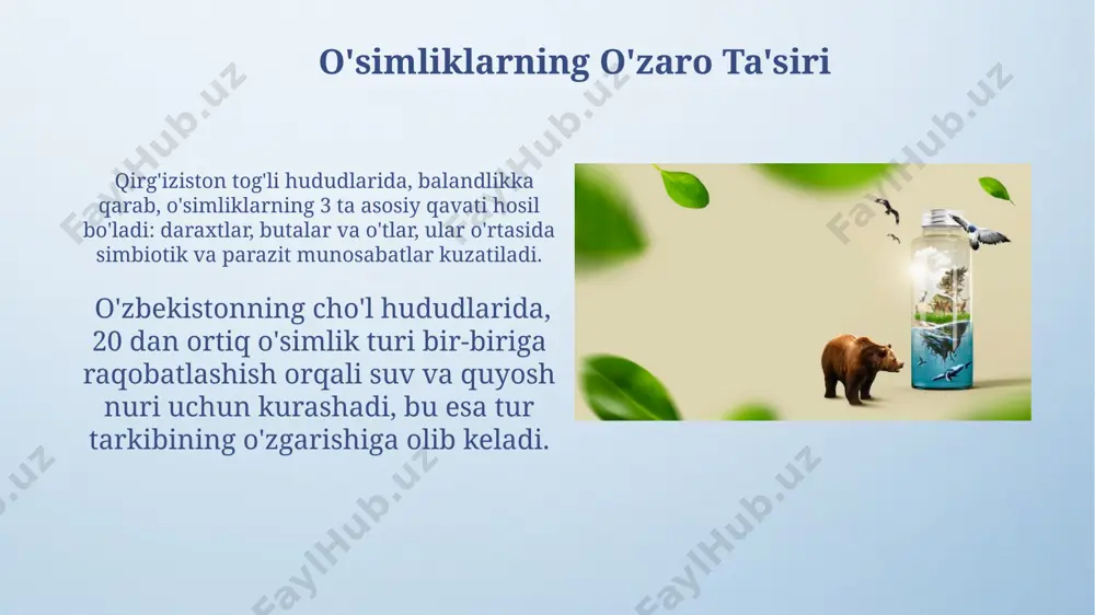 jud boʻlib, bu hududni yuqori biotik sigʻimga ega boʻlgan hudud sifatida koʻrsatadi. muhit sigʻimi, masalan, 1 gektar oʻrmon maydonida 1000 dan ortiq turli xil oʻsimlik va hayvon turlarini, shu jumladan, qushlar, hasharotlar va sut emizuvchilarni oʻz ichiga olishi mumkin. bu raqam, albatta, joyning geografik joylashuviga va iqlim sharoitlariga bogʻliq. biotik faktorlarning o'zgarishi o'zbekistonning qashqadaryo viloyatida 2022-yilda kuzatilgan qurg'oqchilik tufayli o'simliklarning 30%i nobud bo'ldi, bu esa hayvonot dunyosiga salbiy ta'sir ko'rsatdi va oziq-ovqat zanjiri buzildi. aral dengizi atrofidagi 50 km radiusdagi hududda tuzlanish darajasining oshishi natijasida 15 ga yaqin o'simlik turi yo'qolib ketdi, bu esa bioxilma-xillikni kamaytirdi. yirtqichlarning ta'siri o'zbekistonning farg'ona vodiysidagi 150 ga yaqin o'simlik turi, shu jumladan, paxta va bug'doy hosilining miqdori yirtqichlar soniga, xususan, kemiruvchilarning tabiiy dushmanlari bo'lgan burgutlar va tulkilarning populyatsiyasiga bog'liq. qoraqalpog'istonning amudaryo deltasida 30 dan ortiq qush turi baliqlar, qurbaqalar va boshqa suv hayvonlari bilan oziqlanadi, bu esa suv ekosistemasining muvozanatini saqlashda muhim rol o'ynaydi. …