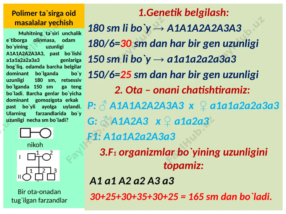 sh bermaydi. tovuq oyog`ida patning bo`lishi ikki juft polimer nokumulyativ dominant genlarga bog`liq. agar genotipda ulardan bittasi bo`lsa ham tovuq oyog`ida pat hosil bo`ladi. polimer genlar retsessiv holatda bo`lsa, pat rivojlanmaydi. oyog`ida pati bor tovuq oyog`ida pati yo`q xo`roz bilan chatishtirilganda f1 da 120 ta digeterozigota parranda , f2 da 1120 ta parranda olingan f2 avlodning nechtasi keyingi bo`g`inda ajralish bermaydi? polimer ta`sirga oid masalalar yechish 1.genetik belgilash: patli – b; patsiz – b; no`xatsimon – p; oddiy – p; a va b xo`roz - p_b_ c va d tovuq – p_b_ a xo`roz – ppbb bo`lgan; b xo`roz – ppbb bo`lgan. 2. b xo`rozni c tovuq bilan chatishtiramiz: p: ♂ ppbb x ♀ppbb g: ♂ pb, pb, pb, pb x ♀ pb, pb 3. b va c duragaylarini aniqlaymiz: ♀\♂ pb pb pb pb pb ppbb ppbb ppbb ppbb pb ppbb ppbb ppbb ppbb patsiz patsiz 4.b xo`rozni d …
