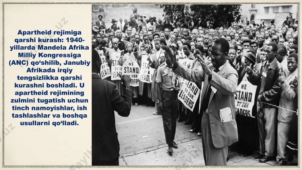 nelson mandela - Page 3