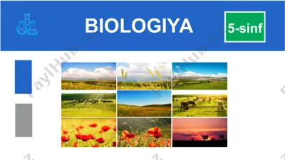 o‘simliklar mevasi va mazasi — PPT
