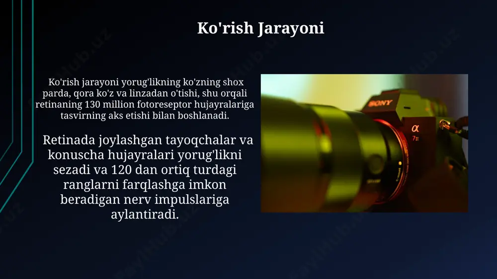 koʻrish tizimi va yorugʻlik optikasi - Page 5