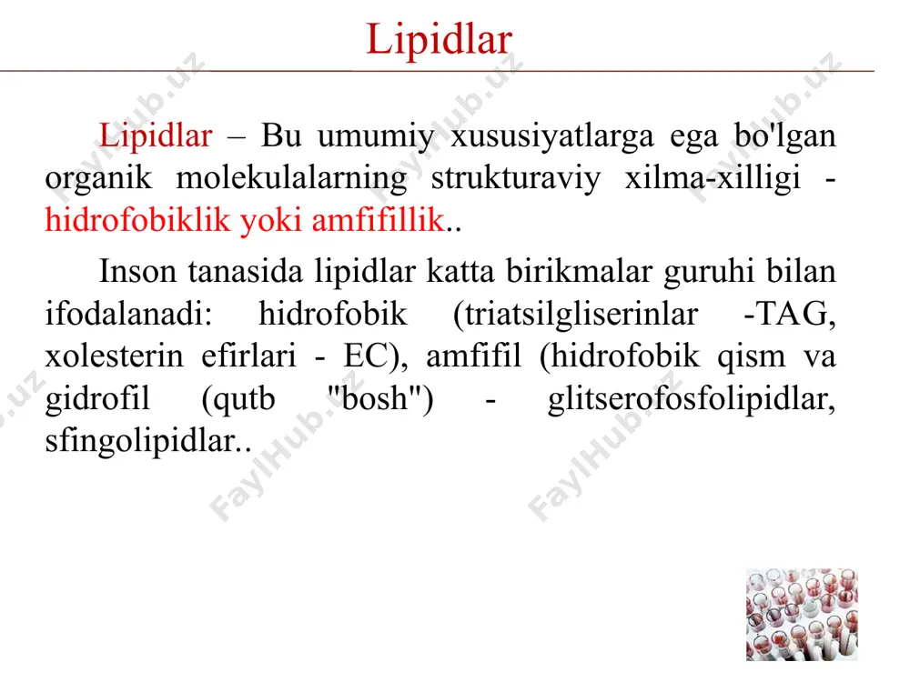 pishib qolishiga to'sqinlik qiluvchi sirt faol moddaning tarkibiy qismi (bu holda, r1 va r2 palmitik kislotalardir) hujayra membranalari, lipoproteinlar yuzasida mono qatlam, o'pka alveolalari sfingofosfolipidlar-sfingomiyelinlar nerv to'qimasi hujayra membranalarining asosiy tarkibiy qismlari neyronlarning miyelin qobig'i, miyaning kulrang moddasi строение и функции основных классов липидов человека lipidlar sinfi struktura diagrammasi funksiyalar xususiy lokalizatsiya glikolipidlar: serebrozidlar, agar x-monosaxarid; gangliozidlar, agar murakkab tarkibli x-uglevodlar nerv to'qimalarining hujayra membranalarining tarkibiy qismlari, turli turdagi hujayralar yuzasida antigen tuzilmalar; retseptorlari, hujayralar o'zaro ta'sirini ta'minlaydigan tuzilmalar hujayra membranalarining tashqi qatlami steroidlar xolesterin va uning hosilalari membran komponenti, safro kislotalari va steroid gormonlar sintezida kashshof hujayra membranalari, qon lipoproteinlari жирные кислоты to'yingan qo'sh aloqalarni o'z ichiga olmaydi to'yinmagan (2-tag pozitsiyasida) qo'sh bog'larni o'z ichiga oladi н3с – сн2 – сн2 – (сн2)к – соон umumiy formula сnh2n+1cooh н3с – (сн2)1 – сн = ch - (сн2)d – соон umumiy formula сnh(2n+1)- 2mcooh, где k, l, d – soni …