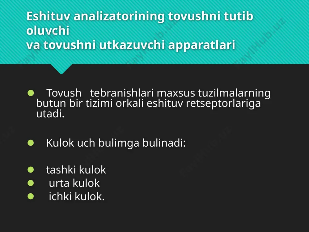 umalok darcha soxasida boshlanadi. chiganokning yukori va pastki kanallari perilimfa bilan tula. perilimfa tarkibi jixatidan orka miya suyukligiga uxshaydi. oval darcha bilan yumalok darcha membranalari kanallar perilimfasini urta kulokninng xavoli bushligidan ajratib turadi. yukori va pastki kanallar urtasida parda kanal bor. bu kanal bushligi chiganokning boshka kanallari bushligiga tutashmaydi va u endolimfa bilan tulgan. endolimfani kanalning tashki devoridagi stria vascularis degan maxsus tomirli tuzilma ishlab chikaradi. endolimfadagi k+ ionlarining mikdori perilimfadagiga nisbatan 100 marta kup, na+ mikdori esa 10 marta kam. shu sababli endolimfa perilimfaga nisbatan musbat zaryadlangan. chiganokning urta kanali ichida, asosiy membranada tovushni sezuvchi apparat – kortiy aʼzo retseptorlari joylashgan. ana shu xujayralar tovush tebranishlarini nerv impulsiga aylantiradi. asosiy membranada retseptor xujayralar 2 kavat bulib joylashadi. ularning ichki kavati bir kator retseptor xujayralardan tuzilgan. ularning umumiy mikdori 3500 ta. tashki kavat 3-4 kator xujayralardan iborat bulib, ularning umumiy mikdori 12000-20000 ga yetadi. retseptor xujayralarning tuklari ustida parda kanalning …