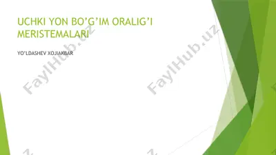 uchki yon bo’g’im oralig’i meristemalari — PPTX