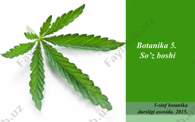 botanika 5 sinf. so'z boshi. 5 - sinf — PPT