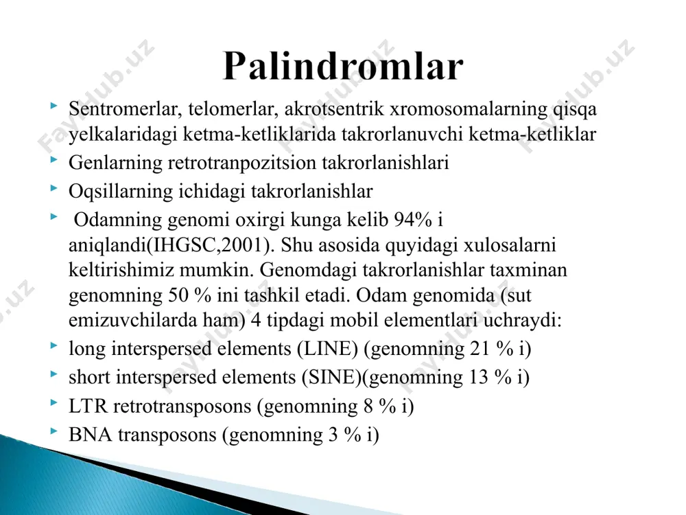 idagi bog’lanishlarni promotorlardan boshlab uza boshlaydi va komplementarlik printsipi asosida axborot (nukleotidlarning ketma - ketliklari) irnk ga ko’chirib o’tkazila boshlanadi hamda olingan axborot ribosomaga jo’natiladi. induktor molekulasining oxirgisi buzilganidan so’ng repressor oqsil erkin holatga o’tadi va yana operator genni faoliyatini to’xtatib qo’yadi. bu esa o’z navbatida operonning faoliyatini to’xtatadi. yangi induktor molekulasining kelishi operon faoliyatini yana tiklaydi. har bir operonning ishlashi uchun spetsifik induktor talab etiladi. masalan, laktoza operoni uchun – laktoza, fruktoza operoni uchun – fruktoza zarur. eukariot organizmlaridagi transkriptsiya boshqarilishining sxemasi 1972 yilda g.p.georgiev tomonidan taklif etilgan. eukariotlardagi transkriptsiyaning birligi transkripton deb yuritiladi. u axborotga ega bo’lmagan (aktseptor) va axborotga ega bo’lgan (strukturaviy) zonalardan tashkil topgan bo’ladi. axborotga ega bo’lmagan zona initsiatorli promotor bilan boshlanadi. undan so’ng axborotga ega bo’lgan operator-gen qismlar joylashadi. axborotli uchastkalar strukturaviy genlar tomonidan hosil qilinadi va ekzonlar (axborotli uchastkalar) hamda intronlar (axborotga ega bo’lmagan uchastkalar) ga bo’linadi. transkripton terminatorlar bilan tugallanadi. transkriptonning ishini …