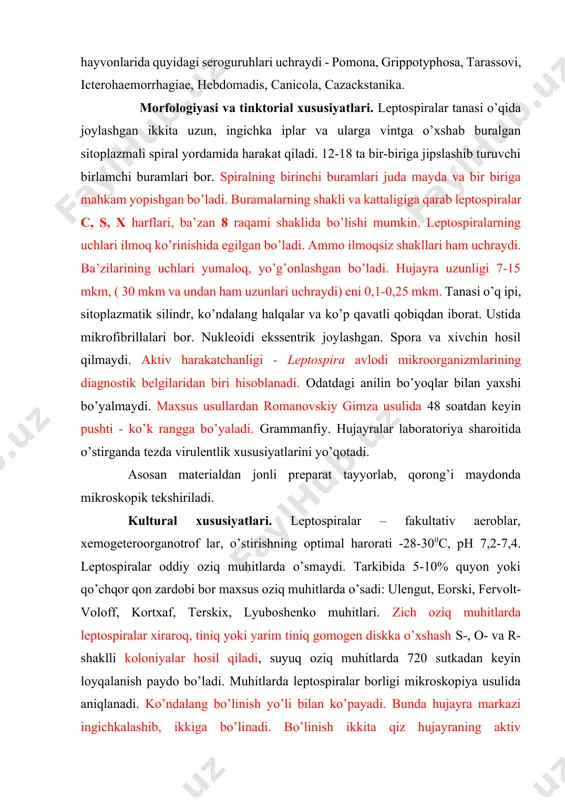 i yarim tiniq gomogen diskka o’xshash s-, o- va r- shaklli koloniyalar hosil qiladi, suyuq oziq muhitlarda 720 sutkadan keyin loyqalanish paydo bo’ladi. muhitlarda leptospiralar borligi mikroskopiya usulida aniqlanadi. ko’ndalang bo’linish yo’li bilan ko’payadi. bunda hujayra markazi ingichkalashib, ikkiga bo’linadi. bo’linish ikkita qiz hujayraning aktiv harakatlanishidan paydo bo’ladi. ko’pchilik kulturalar 7 - 20 kundan, ba’zan 3 - 5 kundan kam hollarda 1 - 2 oydan keyin va undan ko’proq vaqtda o’ladi. biokimyoviy xususiyatlari. leptospiralarning diagnostikasida rol o’ynamaydi, farqlashda ishlatilmaydi. chidamliligi. leptospiralar qurish, qizdirish, ph ning past ko’rsatkichlariga, dezinfeksiyalovchi moddalarga sezuvchan. suv havzalarida 30 kungacha, nam va ishqorli tuproqlarda -280 kungacha, oziq muhitlarida 1-2 sutka saqlanadi. o’txo’rlar siydigida 49 soat, go’shtxo’rlar siydigida 4 soat saqlanadi. yangi sutda 8 - 24 soat, qaynatilgan, pasterizasiya qilingan sutlarda 24 - 48 soat yashaydi. buzoq, qo’zi, cho’chqa, quyon go’shtida - 100c da ( ph 6,2) 10 kun davomida saqlanadi. 560c gacha qizdirilganda 25-30 daqiqada o’ladi. …