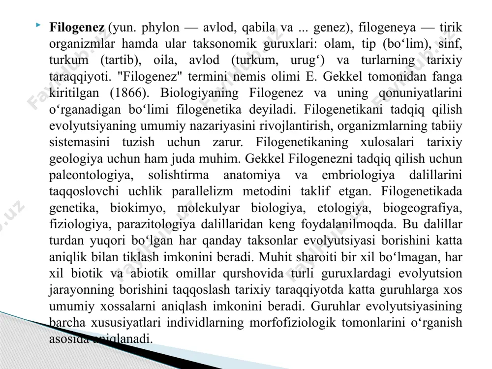 ning jismoniy belgilari yoki genlarining dnk ketma-ketliklari kabi toʻplagan maʼlumotlarimiz asosida yaratiladi. siz bu haqda filogenetik daraxtlarni tuzish nomli maqolada yanada koʻproq maʼlumot bilib olishingiz mumkin. filogenetik daraxtda bizni qiziqtirgan turlar yoki guruhlar daraxt shoxlari uchida joylashadi. misol uchun, quyidagi filogenetik daraxt beshta tur: a, b, c, d va e turlar orasidagi aloqalarni koʻrsatib, ular daraxt shoxlarining uchida joylashtirilgan. filogenetik daraxtning tuzilishi filogenetik daraxt shoxlarining qanday joylashgani bizning berilgan turlarning umumiy ajdoddan qanday kelib chiqqanligi haqidagi tushunchalarimizni ifodalaydi. har bir shoxlanish nuqtasi (ichki tugun deb ham ataladi) divergensiya hodisasi yoki bitta ajdodning ikki yoki undan ortiq turlarga ajralishini koʻrsatadi. har bir shoxlanish nuqtasida ushbu shoxlar uchida joylashgan barcha turlarning eng soʻnggi umumiy ajdodi joylashgan. misol uchun, a va b turlar ajralib chiqqan shoxlanish nuqtasida ushbu turlarning eng soʻnggi umumiy ajdodi keltirilgan. daraxtning pastki qismi yoki ildizi tepasidagi birinchi shoxlanish nuqtasida barcha turlarning (a, b, c, d, e) umumiy ajdodi keltirilgan. …