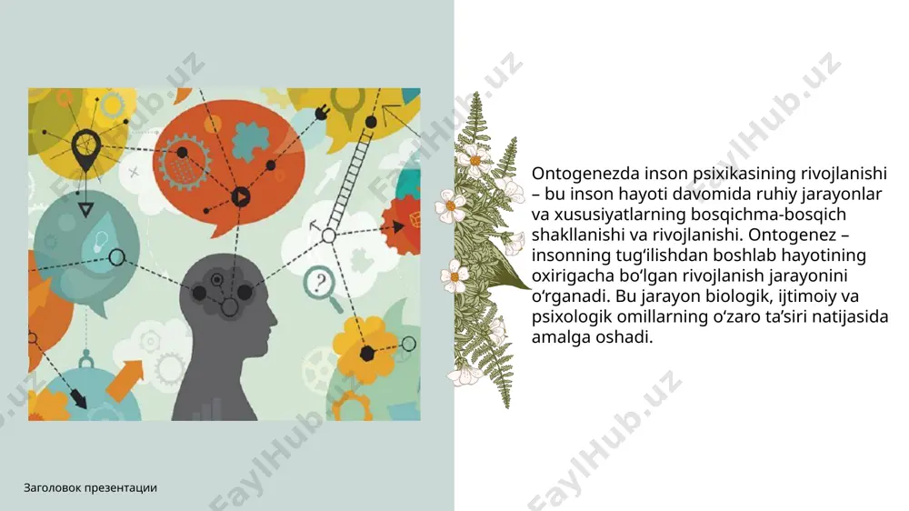 i rivojlanishi, shaxsning psixologik sog'ligiga ijobiy ta'sir ko'rsatadi. 6. madaniyat va ijtimoiy kontekst: har bir madaniyat o'ziga xos qadriyatlar, an'analar va ijtimoiy normativlarga ega. bu omillar bolalarning o'zligini anglashida va ijtimoiy munosabatlarda qanday harakat qilishlarini belgilaydi. 7. psixologik muammolar: rivojlanish jarayonida psixologik muammolar, masalan, depressiya, ansiyete va boshqa ruhiy kasalliklar ham paydo bo'lishi mumkin. ular shaxsning rivojlanishiga salbiy ta'sir ko'rsatishi mumkin. ontogenezda inson psixikasini rivojlanishini o‘rgangan ko‘plab olimlar bor. ular inson psixikasi, shaxs shakllanishi va rivojlanish jarayonlarini turli nazariyalar asosida tahlil qilishgan. quyida bu sohada muhim hissa qo‘shgan olimlar va ularning yondashuvlari keltirilgan: 1. zigmund freyd (sigmund freud) nazariya: psixoanalitik yondashuv. freydning nazariyasiga ko‘ra, psixik rivojlanishning asosiy omili shaxsning ongsiz (id, ego, superego) jarayonlari va ular o‘rtasidagi konfliktlardir. u rivojlanishni psixoseksual bosqichlar asosida izohladi (oral, anal, fallik, latent va genital bosqichlar). jan piaje (jean piaget) nazariya: kognitiv rivojlanish nazariyasi. piaje inson tafakkurining rivojlanishini bosqichlarga bo‘lib o‘rgangan. uning nazariyasiga ko‘ra, bola …
