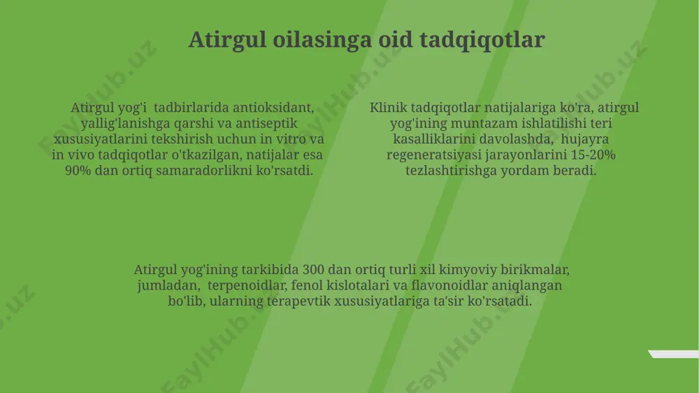000 dan ortiq tur va kenja turlar mavjud. atirgul oilasining xavf ostida turgan turlari global ahamiyatga ega bo'lgan 5 ta atirgul oilasi turi, ularning genetik xilma-xilligining pasayishi natijasida, iucn qizil kitobiga kiritilgan. atirgul oilasining 100 dan ortiq turi, jumladan, noyob dorivor o'simliklar, jahon miqyosida yo'qolib ketish xavfi ostida turganligi aniqlangan. o'zbekistonda atirgul oilasiga mansub 20 ga yaqin endemik tur mavjud bo'lib, ularning aksariyati tabiiy yashash muhitining buzilishi tufayli xavf ostida. atirgul oilasining yovvoyi turlari yovvoyi atirgul turlarining ba'zilari, masalan, itburni (rosa canina) turli xil kasalliklarga qarshi kurashda ishlatiladigan c vitamini bo'yicha yuqori ko'rsatkichga ega. atirgul oilasining 100 dan ortiq yovvoyi turi mavjud bo'lib, ularning ko'pchiligi o'rta osiyo, kavkaz va eron tog'li hududlarida uchraydi, bu hududlarning o'simliklar xilmaxilligi uchun muhim ahamiyatga ega. atirgul oilasining ba'zi yovvoyi turlari, o'zining genetik xususiyatlari tufayli, seleksiya ishlarida yangi navlarni yaratishda muhim ahamiyat kasb etadi, 50 dan ortiq yangi gibridlar yaratilgan. atirgul oilasining o'simliklari va ularning …