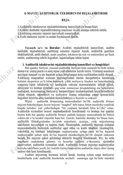 auditorlik tekshiruvi rejalashtirish — PDF