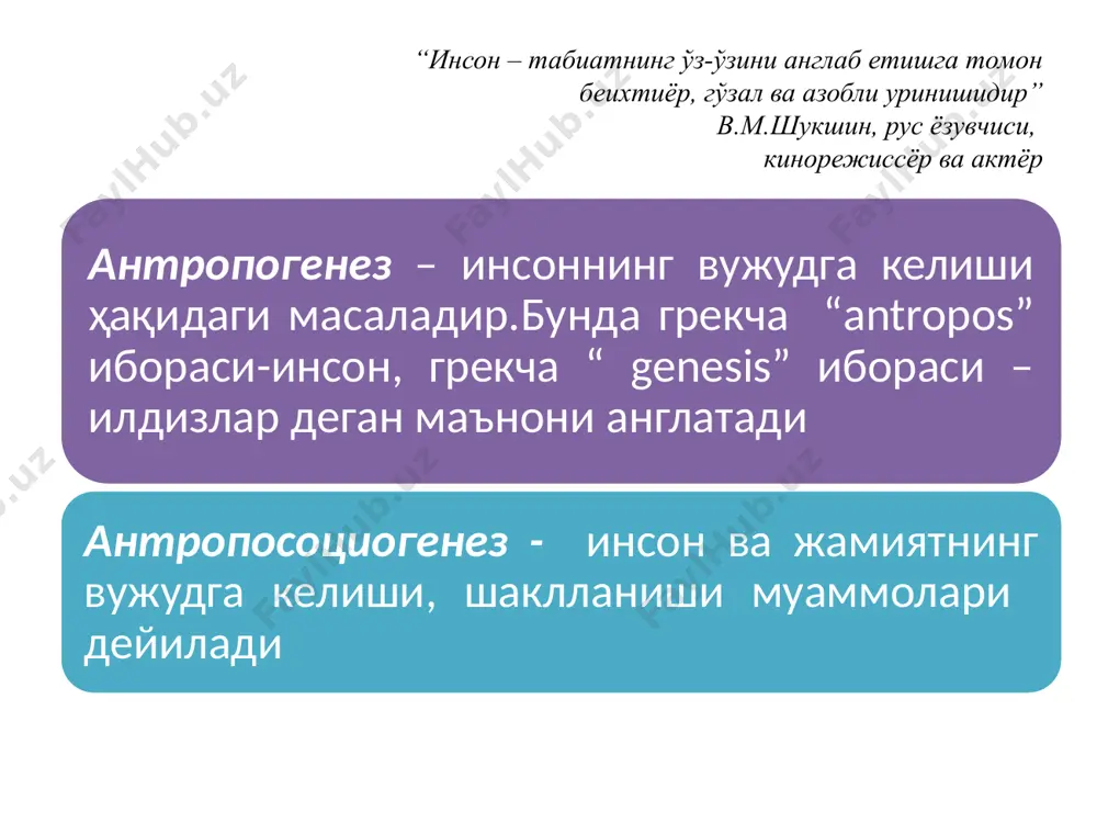 insonning kelib chiqishi va mohiyati - Page 3