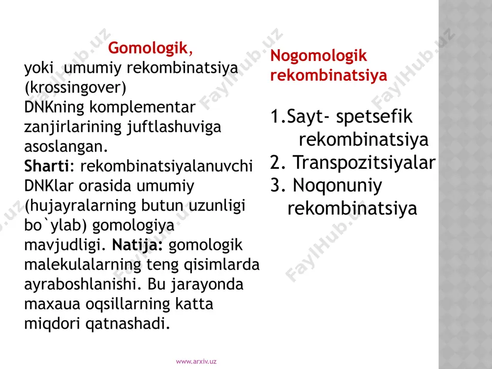 dnk rekombinatsiyasi - Page 5