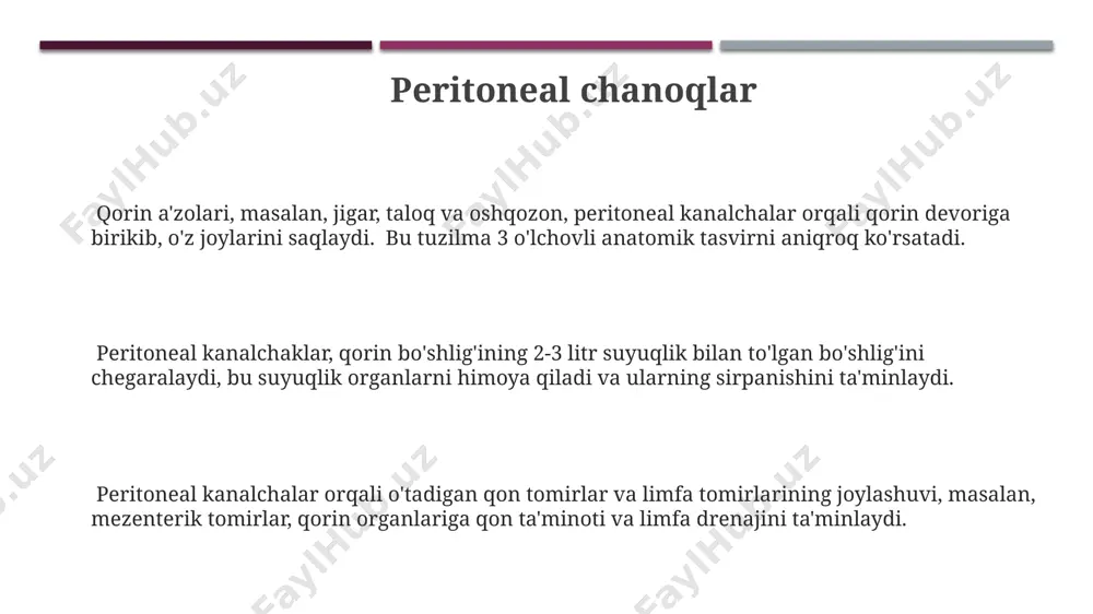 nlaydi. parietal periton parietal peritoneum, qorin devorining ichki yuzasini qoplaydi va 3 qavatdan iborat bo'lib, ularning orasida nervlar va qon tomirlari joylashgan. bu qatlamning og'riq sezgisi yuqori bo'lib, peritonitda kuchli og'riqlarni keltirib chiqaradi. parietal peritoneumning qon ta'minoti qorin a'zolarning qon ta'minotidan farq qiladi, masalan, yuqori qorin bo'shlig'ida epigastrik arteriyalar va pastki qismida ilio-hipogastrik arteriyalar qatnashadi. bu anatomik xususiyat jarrohlik amaliyotida muhim ahamiyatga ega. parietal peritoneum diafragma, qovurg'alar va tos suyagining ichki yuzalarini qoplaydi, shu bilan birga retroperitoneal bo'shliqni cheklab turadi va buyraklar, buyrak usti bezlari kabi ba'zi organlarni qorin bo'shlig'ining boshqa qismlaridan ajratib turadi. peritonning umumiy tuzilishi visseral peritoneum, 50 dan ortiq turli xil organlarni qoplaydigan yupqa seroz membrana bo'lib, ularning har biri o'ziga xos mezenteriyaga ega. qorin bo'shlig'ining 90% dan ortig'ini qoplaydigan peritoneum, kichik tos suyagida, ayniqsa, siydik pufagi va to'g'ri ichak atrofida murakkab burmalar hosil qiladi. peritoneumning parietal qatlami qorin devorining ichki yuzasini qoplaydi va diafragma, qovurg'alar va …