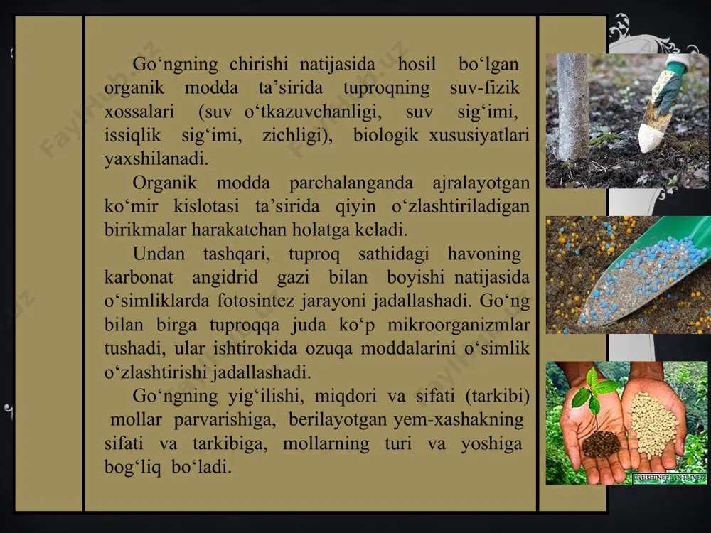hib ketadi; v) urug‘dan va o‘sish a’zolaridan ko‘payadi; g) urug‘larning unib chiqish qobiliyati nisbatan yuqori va uzoq muddat saqlanadi; d) ekiladigan madaniy o‘simlik urug‘ining yaxshi tozalanmasligi; j) ekinlarni almashlab ekishni qo‘llamaslik; z) agrotexnik tadbirlarni o‘z vaqtida va sifatli qo‘llamaslik; s) begona o‘tlar urug‘ining shamol va suv bilan oson tarqalishi; l) urug‘larning hayvonlar va tuproqqa ishlov beriladigan mexanizmlar yordamida tarqalishi; m) dalaga muntazam ravishda go‘ng solinishi. mdh davlatlari hududida 1500 turdagi begona o‘tlar mavjud. begona o‘tlarga qarshi kurashish choralarining meyori va usullarini tanlashda ularning biologik xususiyatlarini bilish zarur. begona o‘tlar oziqlanish tarkibiga ko‘ra yashil (mustaqil yashovchi) va parazit o‘simliklarga bo‘linadi. begona o‘tlar: 1-g‘umay; 2-ajiriq; 3-kurmak; 4-pechak. ikki yillik begona o‘tlar ikkinchi yili hosil beradi. bularga qashqarbeda, qushqo‘nmas, mingdevona, qizil burganlar kiradi. ko‘p yillik begona o‘tlar hayoti davrida juda ko‘p hosil qiladi. ular asosan ildizpoyadan, ildizdan va urug‘idan ko‘payadi (qoqio‘t, izen, sho‘rak, g‘umay, ajriq, salomalaykum, qamish, kakra, bo‘ztikon, qo‘ypechak, qizilmiya, yantoq va …