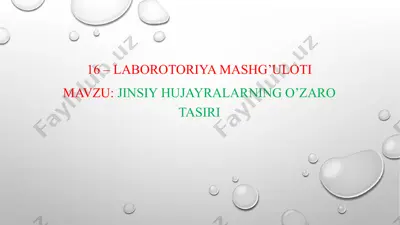 jinsiy hujayralarning o'zaro tasiri — PPTX