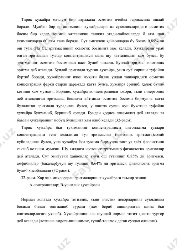 а бирмунча юкорирок булади. тирик усимлик ҳужайраларига яятургор ҳолати хос, узиб олинган усимлик эса сулий бошлайди, чунки ҳужайрани тигиз тутиб чузиб турадиган катта-катта вакуолалардаги ҳужайра суви аста-секин бугланиб боради ва тукима узининг ички тигизлигини йукотиб куяди. соглом одам ва ҳайвон тукималари ҳам худди бояги суз билан “тургор” деб аталади томирлар, буйраклар фаолияти изидан чикиши муносабати билан баданига шиш келганида тургор кучайиб колади. очлик ёки сувсизланишда ҳам ҳайвон организмлари тукималарининг тургори бузилади. баъзи касалликларда (масалан, вабо, заҳарланиш ҳолатларида), кахексияда ана шундай ҳодиса кузатилади. бирок усимликлардан фарк килиб, ҳайвонлар ҳужайрасида томчилар куринишида эркин сув булмайди, цитоплазмадаги сув эса оксиллар ва бошка моддалар билан богланган голатда туради, шу муносабат билан ҳайвон тукималари бирмунча кам сув йукотиш мумкин. хайвонларнинг сувсизланиши асосан ҳужайралараро бушликлари, кон ва лимфадаги сув микдорининг камайиши ҳисобига руй беради. хужайранинг таъсирланувчанлиги. юкорида айтиб утилганидек, ҳужайра очик система булиб, у ташки муҳит билан доимо алокада булади. хужайра температура, кимёвий таркиби ва бошка …