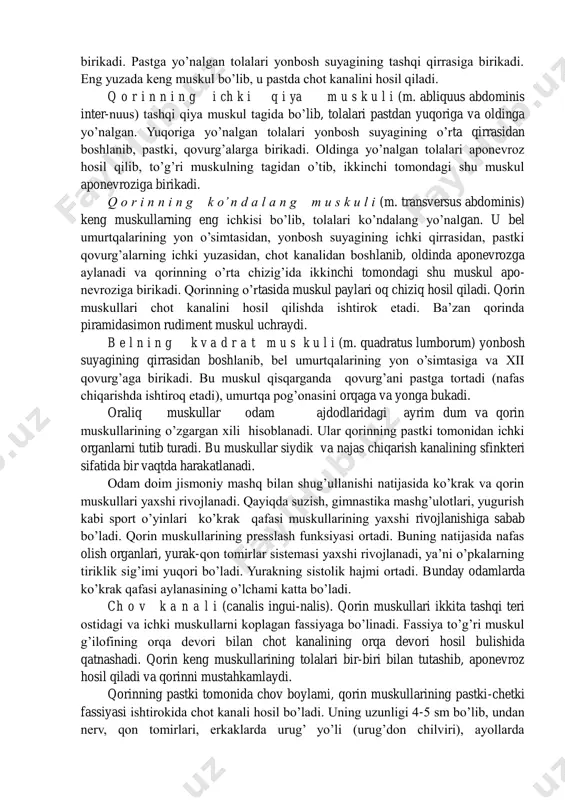 qovuq, suyaklarining simfizigacha davom etadi. bu qismda qon va nerv tomirlar kam bo’ladi. qorin muskullari ichki organlarga press sifatida ta’sir etib, siydik, najas chiqarishni va qusishni tezlashtiradi. q o r i n n i n g t o’ g’ r i m u s k u l i (m. rectus abdominis) tashqi, ichki muskullar aponevrozidan hosil bo’lgan pishiq fibroz g’ilof orasida joylashgan. u to’sh suyagining o’simtasidan v-vii qovurg’alarning tog’ay qismidan boshlanib, qovuq suyagining yuqori chetiga birikadi. qisqarganda gavdani bukadi. bu muskulning 3-4 joyida pay hosil bo’ladi. q o r i n n i n g t a sh q i q i ya m u s k u l i (m. abiiquus abdominis externus) pastki 8 ta qovurg’aning tashqi yuzasidan va bel fassiyasidan boshlanib, tolalari oldinga va pastga qarab yo’naladi. oldinga yo’nalgan tolalari aponevroz hosil qilib, qorinning o’rtasida ikkinchi tomondagi shu muskul aponevroziga birikadi. pastga yo’nalgan tolalari yonbosh suyagining tashqi …