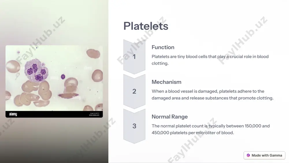 blood forming elements: a comprehensive guide - Page 4