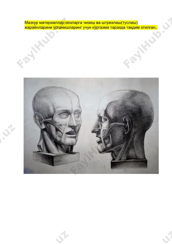 anatomik bosh qalamtasvirini ishlash (ekorshe gudon modeli) - Page 4