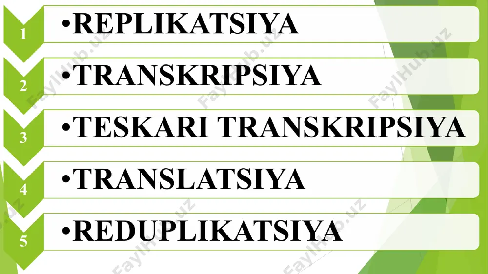 gen ekspressiyasi va regulyatsiyasi (intron, ekzzon) - Page 4