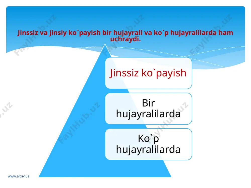 o`rtalarida hosil bo`ladi. www.arxiv.uz www.arxiv.uz qirqquloqlarning ko`payishi ham xuddi qirqbo`g`imlarnikiga o`xshash jinssiz va jinsiy bo`g`inlarning (sporafit va gametafitning) gallanishi bilan sodir bo`ladi. soruslardagi sporangiylar ichida pishib yetilgan sporalar sporangiy po`sti yorilgach tashqariga (havoga) chiqadi va shamol yoki suv yordamida tarqaladi. nam tuproqqa tushgan sporadan gametafit o`sib chiqadi. qirqquloqlarning gametafit bo`yi 1sm keladigan, yurak shaklidagi, yupqa yashil plastinkaga o`xshaydi va ostki qismidagi rizoidlar bilan tuproqqa yopishib turadi. www.arxiv.uz u ikki jinsli bo`lib, uzoq yashamaydi. gametafitda vujudga kelgan anteridiylarda ko`p xivchinli harakatchan spermatazoidlar, arxegoniylarda esa tuxum xujayra yetiladi. yomg`ir paytida gametafitni suv bosib anteridiy va arxegoniy uchidan ochiladi va anteridiydan chiqqan spermatazoidlar arxegoniylar ichiga kirib, tuxum hujayra bilan qo`shiladi. urug`langan tuxum hujayradan murtak hosil bo`ladi. murtak esa o`sib yangi qirqquloqni – sporafitni hosil qiladi. www.arxiv.uz 3. fragmentlar orqali ko`payish. ipsimon suvo`tlarda (spirogira), tuban hayvonlarda (tuban chuvalchanglarda, masalan planariyada) keng tarqalgan. organizm bir necha qismlarga ajralgandan keyin, har bir qismidan alohida mustaqil organizm …