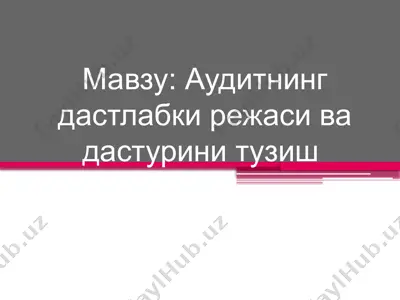 аудитнинг дастлабки режаси ва дастурини тузиш — PPT