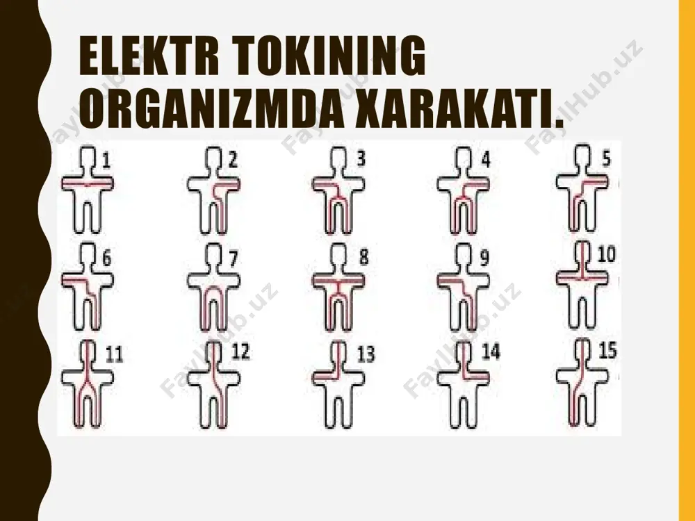elektr tokining inson organizmiga ta’siri - Page 5
