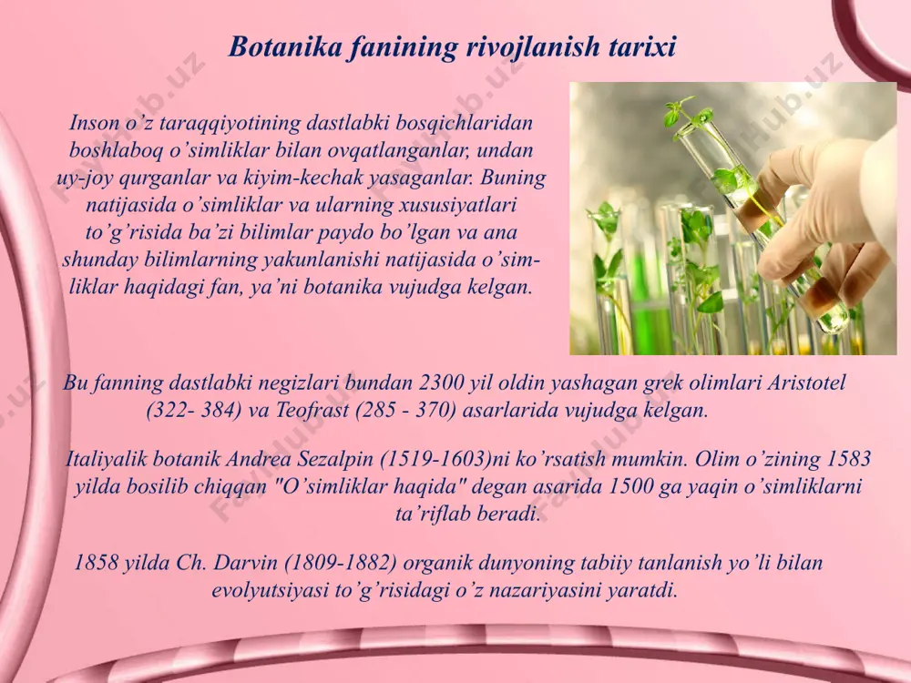 voriga taqalgan qavati plazmolemma, vakuolaga taqalgan qavati esa tonoplast deyiladi. hujayraning diktiosoma yoki golji apparati deb ataladigan alohida organoidlari ham endoplazmatik to’r bilan funksional bog’langan. ular ancha murakkab tuzilgan bo’lib, go’yo devorlari plazmatik membranadan tuzilgan yassi sisternalar paketiga o’xshaydi. golji apparatida organik moddalar vaqtincha to’planadi va keyin hujayraning boshqa qismlariga tarqaladi. p l a s t i d a l a r – faqat o’simlik hujayralarida bo’ladi. ular tashqaridan ikkita membrana bilan qoplangan. xloroplast yashil pigmentli xlorofill, qo’ng’ir rangli karotin va sariq rangli ksantofillarni o’zida tutadi. xloroplastning asosiy vazifasi aynan xlorofil bilan bog’liq. u fotosintez jarayoniga qatnashib anorganik moddalardan organik moddalar hosil qiladi. shu sababli xloroplastlar o’simlikning faqat yer ustki, quyosh nurini qabul qiladigan, qismida uchrab, uning hisobida o’simlik yashil rangda bo’ladi. beradigan rangiga qarab plastidalar 3 xil bo‘ladi xloroplast xromoplast leykoplast yadro uning tuzilishi yadro – bu irsiy belgilarni saqlaydigan va oqsil sintezini boshqaradigan markazdir. hujayra yadrosiz yashay olmaydi, …