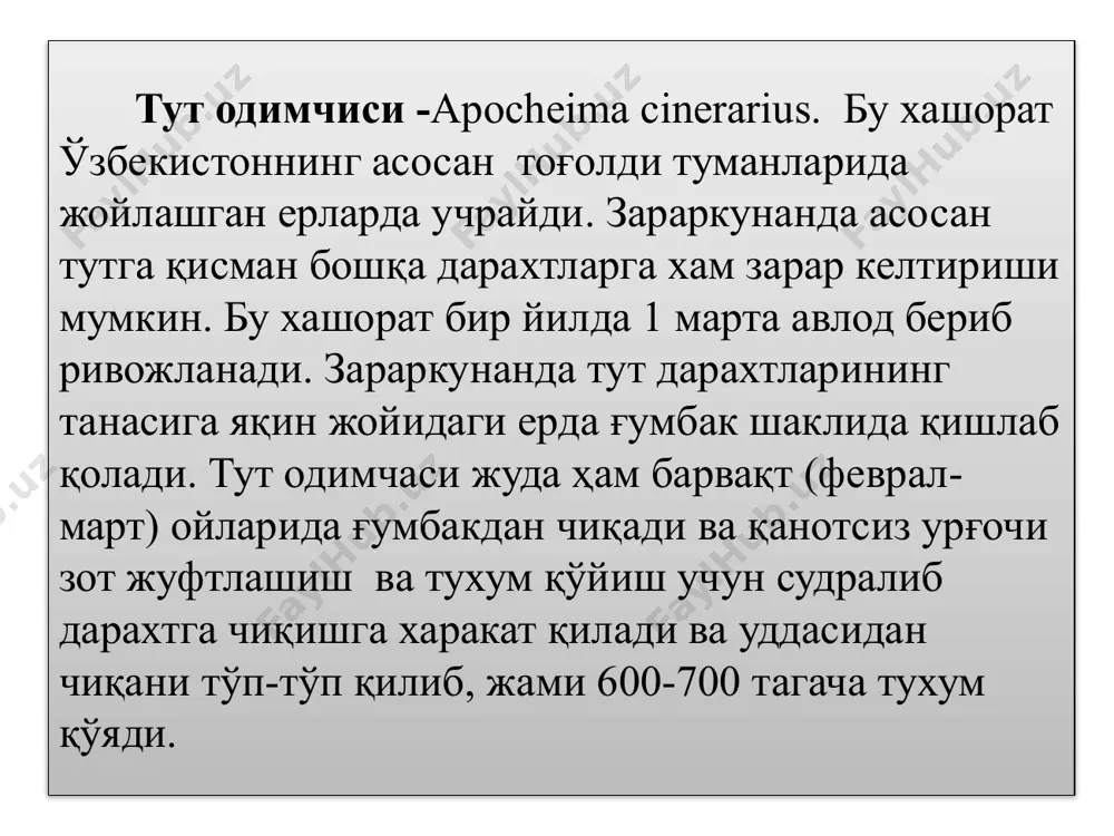 тут одимчаси (apocheima cinerarius) - Page 3
