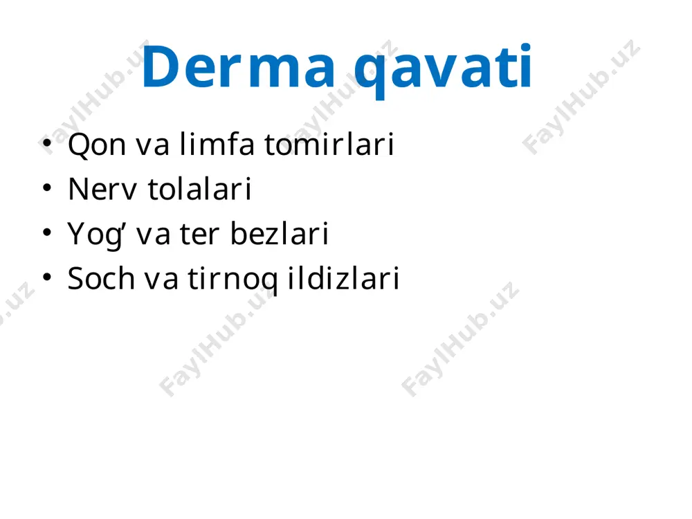 teri va siydik ayirish sistemasi - Page 4