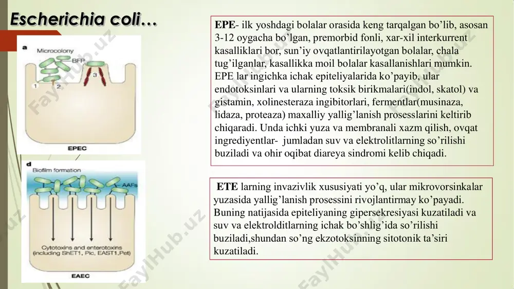 esherixiozlar (ichak koli infeksiyasi) - Page 4