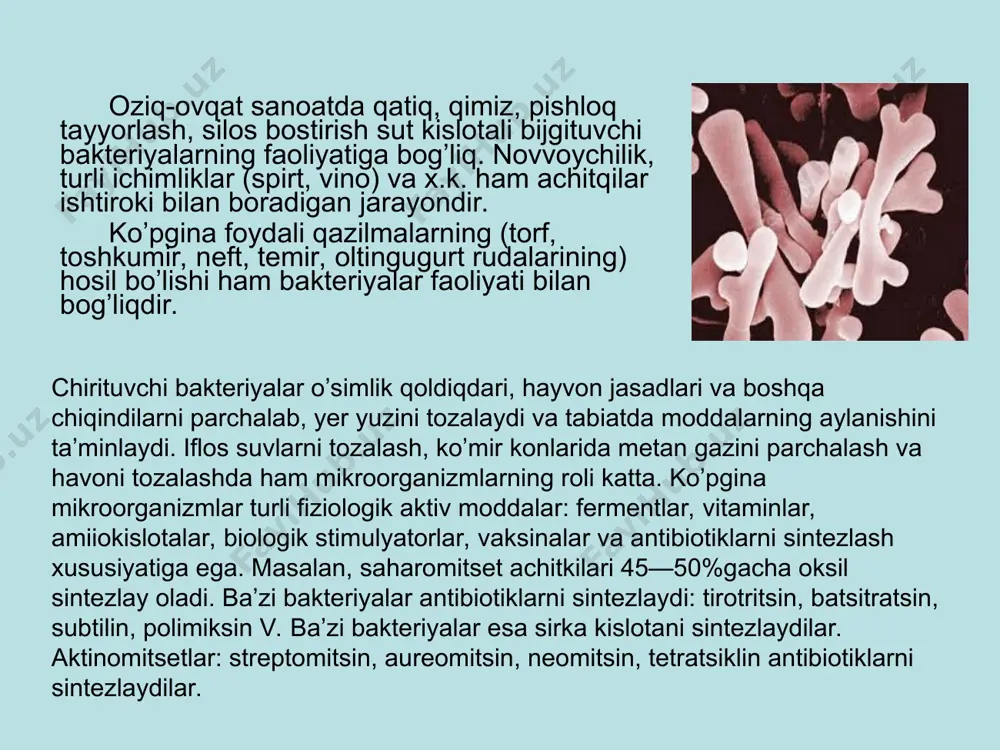 gan. bu sohada erishilgan yutuqlar hammaga ma’lum: bo’lar meditsina fanida yangi davr ochilganligidan dalolat berdi va jamiyatdagi ko’pchilik o’rtasida mikrobiologiyaga qiziqish uygotishga yordamlashdi. adabiyotlar м.иноғомова, а.ҳ.ваҳобов. микробиология ва вирусология асослари. “университет” нашриёти, 2010 йил. 2.а.х.вахабов, т.х.расулова, я.ф.низаметдинова, м.и.мансурова, и.а.музафарова. микробиологиядан амалий ва лаборатория машғулотлари учун ўқув қўлланма (лотинча).”университет” нашриёти, 2009 йил. 3.вахабов а.х. умумий вирусологиядан амалий машгулотлар. 2004 й.