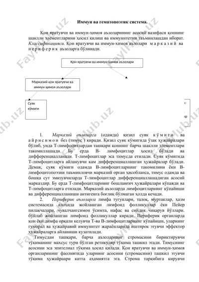 иммун ва гематопоэтик система — DOCX