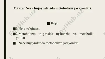nerv hujayralari va metabolizm jarayonlari — PPTX