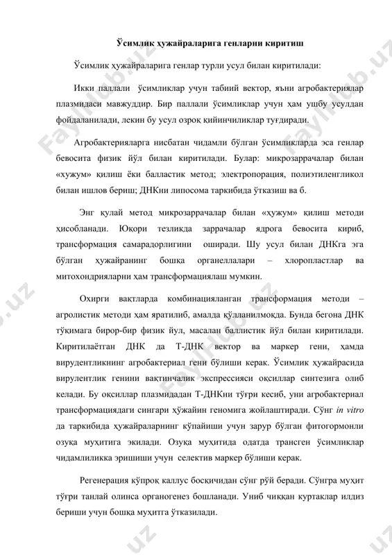 бошқа муҳитга ўтказилади. трансген ўсимликларга генетик материалларни экспрессияси олимлар ўсимлик ҳужайрасига бегона генларни киритишда бўйича олиб борган тадқиқотларида янги ҳодисаларга гувоҳ бўлганлар. аниқланишича, бир тажрибанинг ўзида бир хил днк конструкцияси билан трансформацияланган трансген клонлар киритилаётган ген экспрессияси бўйича фарқланар экан. экспрессия даражаси кўпгина омилларга боғлиқ бўлиб, у айниқса киритилаётган геннинг ядро хроматинини қайси қисмига тушишига боғлиқ экан. бундан ташқари, ядро геномига днк конструкцияланганда бир қанча ўзгаришларга учрайди (дупликация, инверсия ва б.) ва бу экспрессиянинг пасайишига олиб келади. яна аниқланишича, қўлланилаётган трансформация процедуралари хўжайин геноми учун ҳам бефарқ эмасдир. биринчидан, трансгенни жойлашиши қайсидир хўжайин генини бирламчи структурасини бузиши билан биргаликда уни инактивациялайди. иккинчидан, ўсимлик геномига генлар агробактериал ёки физик ўтказилганда турли кўринишдаги қайта тузилишлар, ҳатто хромосома фрагментларининг транслокациясигача кузатилади. буларнинг барчаси ўсимлик геномини нормал фаолият кўрсатишини ўзгартиради. ўсимликка керакли генни тутувчи ti-плазмида кетма-кетлигини киритишнинг 2 хил методи яратилган: 1-метод — «оралиқ векторлар» методи (коинтегратив векторлар) — pbr 322 ичак таёқчасидан фойдаланишга …
