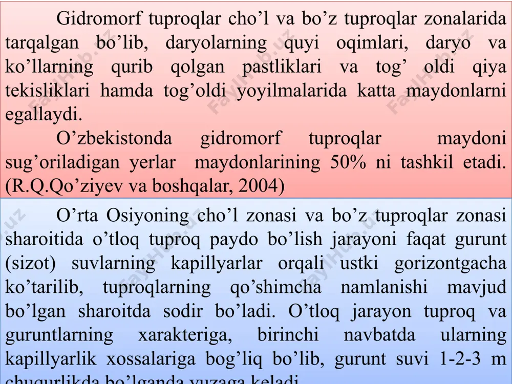 . allyuvial chimli-o’tloq tuproqlar. bu tuproqlar cho’l zonasining amudaryo va sirdaryo irmoqlarida, ularning o’rta oqimidagi quyi terrasalarda, zarafshon, surxandaryo, vaxsh shuningdek murg’ob daryolarining etaklarida katta maydonlarni egallaydi. allyuvial chimli o’tloq tuproqlarda gumus 1-3 foiz atrofida, azot –0,17-0,14 foiz. fosfor va kaliy miqdori ona jinslar tarkibiga bog’liq bo’lib, umumiy fosfor 0,12-0,13 foiz, kaliy 1,70-2,15 foizni tashkil etadi. sug’oriladigan o’tloq tuproqlar. qadimdan sug’oriladigan (voha) o’tloq tuproqlarining genetik gorizontlari uncha yaxshi ajralib turmasligi bilan qo’riq yerdagi shunday tuproqlardan farq qiladi. odatda voha o’tloq tuproqlarda gumusli qatlam cho’ziq bo’lib, chirindining umumiy zahirasi ko’p bo’ladi. agroirrigasiya qatlamining qalinligiga ko’ra: qalin bo’lmagan –<30 sm; o’rtacha qalinlikdagi 30-70 sm va qalin qatlamli tuproq – 70 sm dan oshiq kabi avlodlarga bo’linadi. allyuvial voha-o’tloq tuproqlarning yuqori gorizontlarida gumus –1-1,3 foiz atrofida bo’lib shunga ko’ra azot (0,06-0,07 foiz), fosfor va kaliy miqdori ham o’zgaradi. soz voha-o’tloq tuproqlarida gumus (1,67 foiz), azot (0,14 foiz) va ayniqsa harakatchan kaliy miqdori (300 …