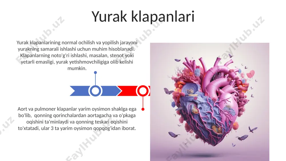 yurak va uning funksiyasi - Page 3