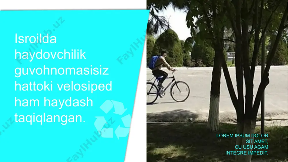 boshqotirmalar va uning turlari - Page 3