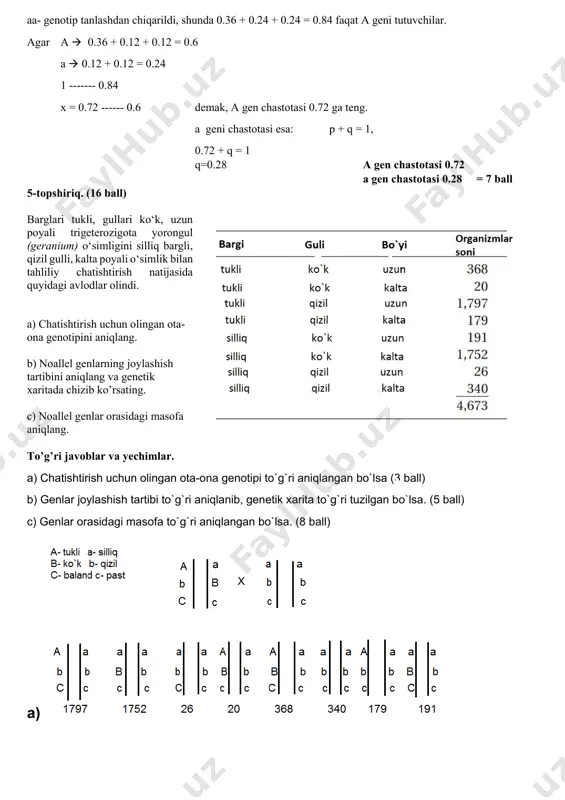 chatishtirish uchun olingan ota-ona genotipini aniqlang. b) noallel genlarning joylashish tartibini aniqlang va genetik xaritada chizib ko’rsating. c) noallel genlar orasidagi masofa aniqlang. to’g’ri javoblar va yechimlar. a) chatishtirish uchun olingan ota-ona genotipi to`g`ri aniqlangan bo`lsa (3 ball) b) genlar joylashish tartibi to`g`ri aniqlanib, genetik xarita to`g`ri tuzilgan bo`lsa. (5 ball) c) genlar orasidagi masofa to`g`ri aniqlangan bo`lsa. (8 ball) a) b) c) x 100 = 0.9844 x 100 = 15.15 x 100 = 7.9 15.15 + 0.9844 = 16.13; 7.9 + 0.9844 = 8.9 10-sinf 1-topshiriq. (7 ball) xalqasimon dnk molekulasiga ikki xildagi restriktaza fermenti bilan ishlov berildi. restriktaza a fermenti ta’sirida dnk molekulasi 2 kb va 8 kb bo‘laklariga bo‘lindi. restriktaza b fermenti ta’sirida dnk molekulasi 1 kb va 9 kb bo‘laklar hosil bo‘ldi. dnk molekulasiga bir vaqtning o‘zida ikki xil restriktaza fermenti ta’sir ettirilganda 1 kb, 2 kb, 3 kb va 4 kb bo‘laklari hosil bo’lganligini inobatga …