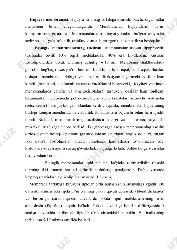 ularning ikki tomoni har xil gidrofil muhitlarga qaralgandir. tashqi qavatda ko'proq stearinlar va glikolipidlar mavjud (i.3-rasm). membrana tarkibiga kiruvchi lipidlar o'rin almashish xususiyatiga egadir. bu o'rin almashishi ikki tipda ya'ni o'zining yakka qavati doirasida (literal diffuziya) va bir-biriga qarama-qarshi qavatlarda ikkita lipid molekulalarining o'rin almashishi (flip-flop) tipida bo'ladi. yakka qavatdagi lipidlar diffuziyasida 1 soniya davomida millionlab lipidlar o'rin almashishi mumkin. bu hodisaning tezligi esa 5-10 mkm/s atrofida bo’ladi. biologik membranalarning vazifasi. membranalar labil tuzilishga ega bo'lganligi sababli har-xil vazifalarni: xususan to'siqlik, tashuvchi, osmotik, tuzilma, energetik, biosintetik, sekretorlik va boshqa vazifalarni bajaradi. ammo membranalarning birlamchi vazifasi ichki muhitni tashqi muhitdan ajratib turish bo'lgan. keyinchalik evolyutsiya jarayoni mobaynida bir qancha hujayra ichki kompartmentlari vujudga kelganki, buning natijasida hujayra va organoidlar kichik hajmda kerakli fermentlar va metabolitlarni ushlab turish, geterogen fizik-kimyoviy makromuhitni vujudga keltirish hamda membranalarning har xil tomonlarida turli reaksiyalarni (biokimyoviy), ayrim hollarda bir-biriga qarama-qarshi biokimyoviy jarayonlarni amalga oshirish imkoniyati yuzaga kelgan. …