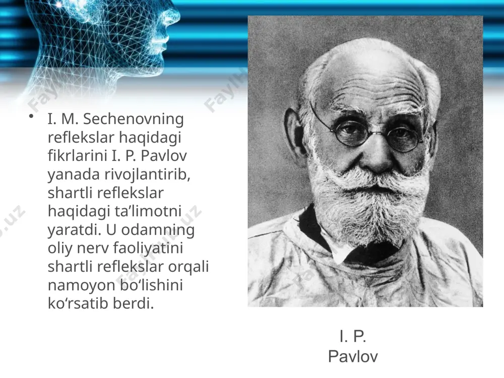 signal sistemasiga ko‘rish, eshitish, hid va ta’m bilish, og‘riq sezish kabilar kiradi. tashqi va ichki ta’sirlar ana shu sezgi organlariga ta’sir etishi natijasida paydo bo‘lgan shartli reflekslar birinchi signal sistemasining shartli reflekslari, deb ataladi. masalan, svetoforning yashil va qizil chirog‘ining yonibo‘chishi, darsga kirish va chiqish qo‘ng‘irog‘ining tovushi, ovqatning ta’mi va hidi kabilarga shartli reflekslarning hosil bo‘lishi. ikkinchi signal sistemasi, hayvonlardan farqli o‘laroq, odamda og‘zaki va yozma nutqning mavjudligidir. og‘zaki va yozma nutqning ma’nosiga qarab odamda har xil shartli reflekslar hosil bo‘ladi. og‘zaki nutq bosh miya po‘stloq qavatining chakka sohasidagi eshitish markaziga, yozma nutq esa bosh miya po‘stloq qavatining ensa sohasidagi ko‘rish markaziga ta’sir qiladi. image1.jpeg image3.jpeg image4.jpeg image5.jpeg image6.jpeg image7.jpeg image8.jpeg image9.jpeg image10.jpeg image11.jpeg image12.gif image13.jpeg image14.gif image2.jpeg