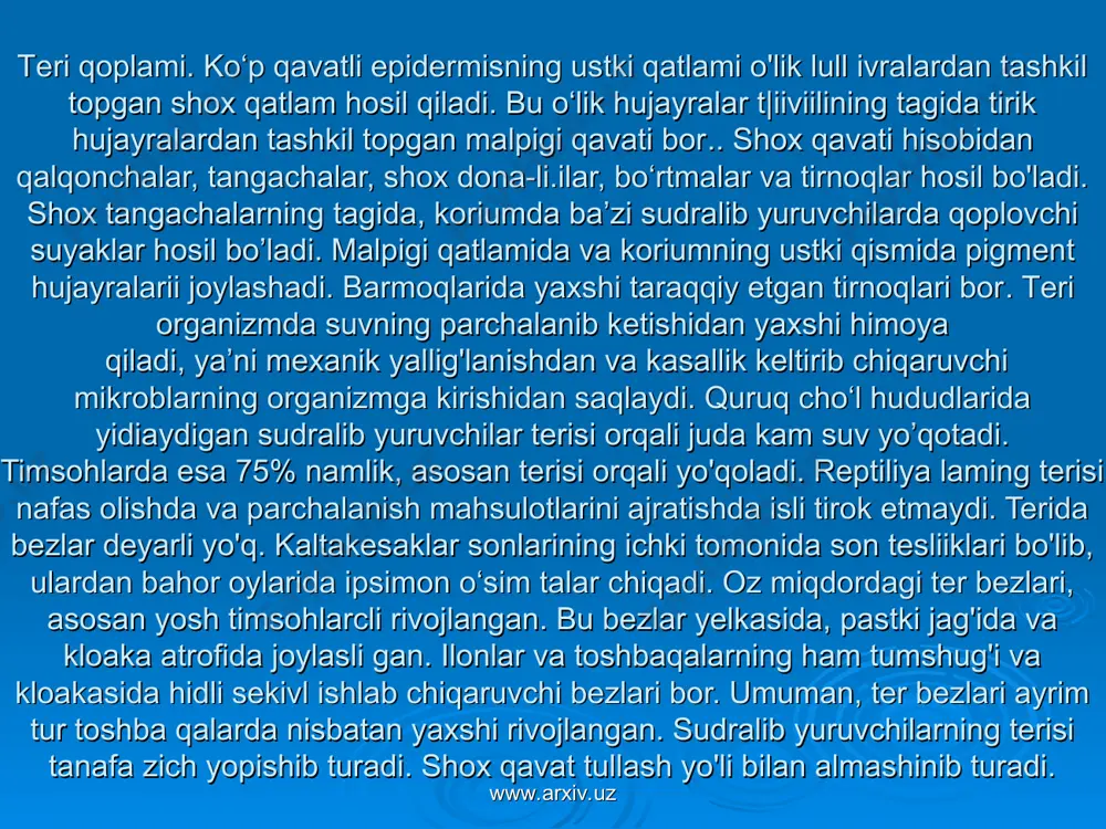 liavo ichki burun teshigi-xoana orqull og'iz bo'shlig'iga kiradi. og'iz bo'shlig'idan keyin uchta tog‘aytliin tashkil topgan hiqildoq joylashgan. u maxsus muskul orqali til osti apparati bilan bog'langan. og‘iz bo‘shlig‘idagi havo hiqildoq orqali uzun nafas olish nayi — traxeyaga o‘tadi, traxeyadagi talaygina tog‘ay halqalar lining puchayishiga yo‘l qo'ymaydi. traxeya oldin tomoq, so'ngra ko'krak bo'shlig'idan o'tib, taxminan yurak atrofida ikkita qisqa nay — bronxga bo'linadi. bu nayning har qaysisi o'ziga tegishli o‘pkada tarmoqlanadi, ilonlarda chap o'pka pallasi bo‘lmaydi. o'pka va nafas olish yo'llarining birmuncha kuchli differensial langanligi bilan suvda hamda quruqlikda yashovchilarning nafas olish organlaridan farq qiladi. o'pka qopcha shaklida bo'lib, uning ichki devori asalari uyasiga o'xshash mayda-mayda murakkab to'siqchalnr bilan qoplangan. nafas akti boshqa barcha amniotalardagidek ko'krak qafasining kengayishi va torayishi bilan sodir bo'ladi. www.arxiv.uz www.arxiv.uz qon aylanish sistemasi. sudralib yuruvchilarning yuragi ko'krak qafasining oldingi qismida ventral (qorin) tomonda joylashgan. kaltakesakning yuragi uch kamerali. unda ikkita — chap va o'11ц yurak bo'lmasi …