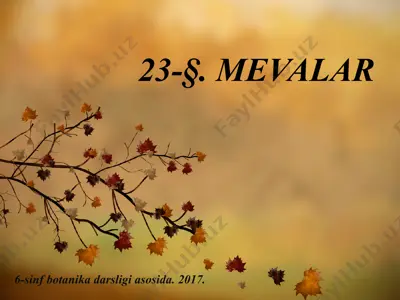 mevalar. 6 - sinf — PPTX