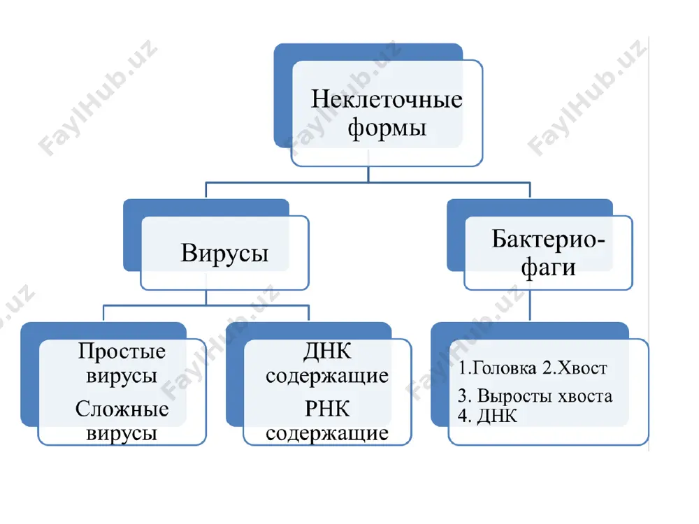 го необходимо наличие специальных ионных каналов, ферментов и атф. так работает натрий-калиевый насос. концентрация калия в клетке выше, чем в околоклеточном пространстве, и, тем не менее, ионы калия поступают в клетку, а ионы натрия выводятся наружу. заряд на мембране обеспечивает передачу нервного импульса, всасывание питательных веществ ворсинками кишечника, адсорбцию в почечных канальцах. mg2+/ca2+ насос обеспечивает мышечные сокращения. крупномолекулярные соединения белков, нуклеиновых кислот, полисахаридов проникают внутрь клетки путем эндоцитоза. различают 2 вида эндоцитоза: фагоцитоз и пиноцитоз. фагоцитоз — захватывание мембраной твердых частиц. при этом внутри клетки при участии лизосом образуется пищеварительная вакуоль. пиноцитоз — поступление жидкостей в клетку. выделение из клетки веществ, заключенных в мембрану, называется экзоцитозом. поступившие в клетку вещества могут использоваться: 1) для синтеза веществ, необходимых самой клетке (анаболическая система); 2) как источник энергии (катаболическая система). функции липидов мембран: 1) структурная; 2) барьерная. функции белков мембран: 1) структурная; 2) ферментативная; 3) рецепторная; 4) транспортная. функция гликопротеидов - рецепторная. свойства …