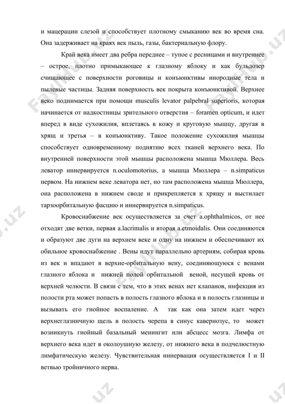 раях век пыль, газы, бактериальную флору. край века имеет два ребра переднее – тупое с ресницами и внутреннее – острое, плотно примыкающее к глазному яблоку и как бульдозер счищающее с поверхности роговицы и конъюнктивы инородные тела и пылевые частицы. задняя поверхность век покрыта конъюнктивой. верхнее веко поднимается при помощи musculis levator palpebral superioris, которая начинается от надкостницы зрительного отверстия – foramen opticum, и идет вперед в виде сухожилия, вплетаясь в кожу и круговую мышцу, другая в хрящ и третья – в конъюнктиву. такое положение сухожилия мышцы способствует одновременному поднятию всех тканей верхнего века. по внутренней поверхности этой мышцы расположена мышца мюллера. весь леватор иннервируется n.oculomotorius, а мышца мюллера – n.simpaticus нервом. на нижнем веке леватора нет, но там расположена мышца мюллера, она расположена в нижнем своде и прикрепляется к хрящу и выстилает тарзоорбитальную фасцию и иннервируется n.simpaticus. кровоснабжение век осуществляется за счет a.ophthalmicos, от нее отходят две ветки, первая a.lacrimalis …