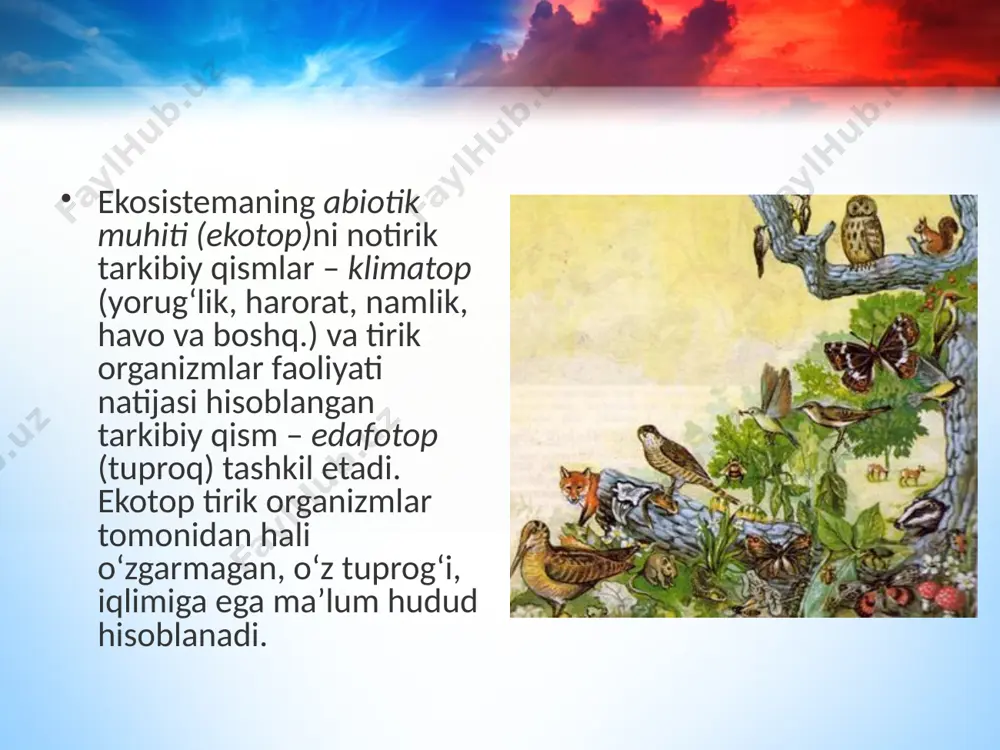 ekosistemalarning tarkibiy qismlari. 11 - sinf - Page 5